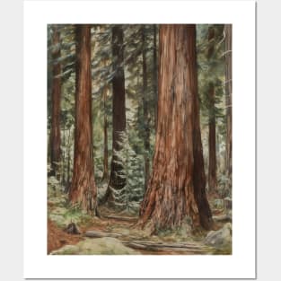 Redwood Forest Trees Retro Painting Posters and Art